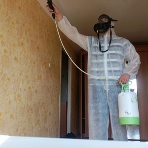 Уничтожение тараканов в квартире – цена во Владимире