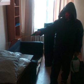 Выведение тараканов в квартире с гарантией во Владимире