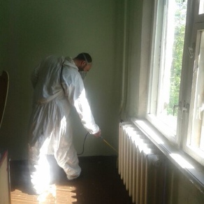 Вывести тараканов в квартире во Владимире