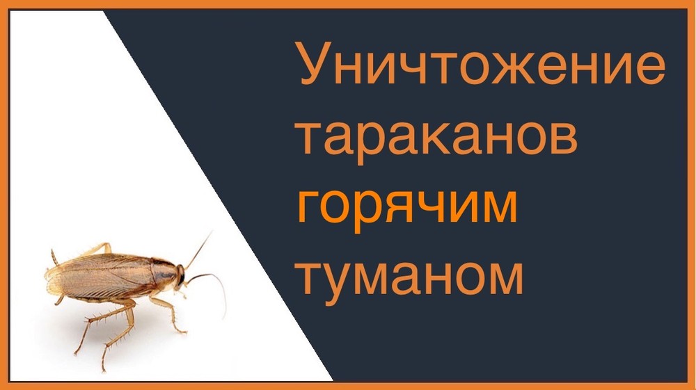 Уничтожение тараканов горячим туманом во Владимире